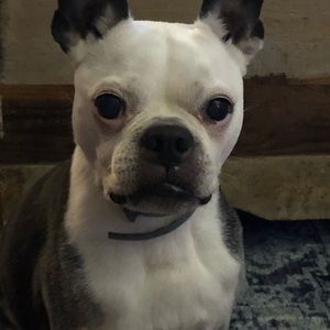 Meet your Posher, Jason